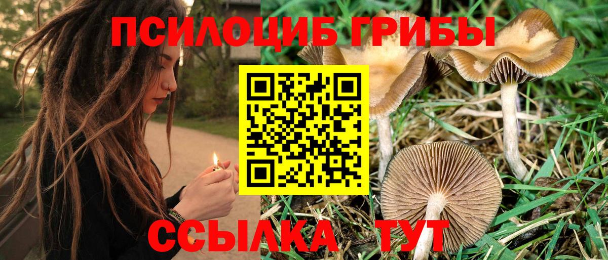 Галлюциногенные грибы прущие грибы Скопин