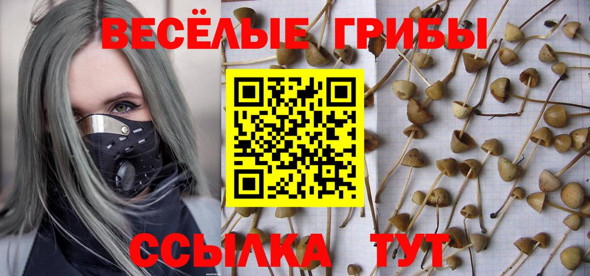 Скопин  Галлюциногенные грибы прущие грибы  Вход с VPN 
